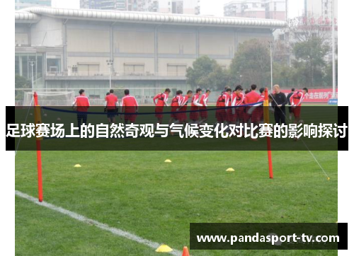 足球赛场上的自然奇观与气候变化对比赛的影响探讨