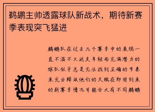 鹈鹕主帅透露球队新战术，期待新赛季表现突飞猛进